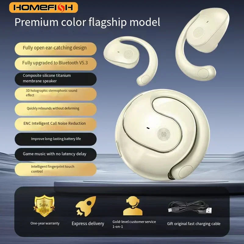 HOMEFISH New Open Ear Wireless Translation