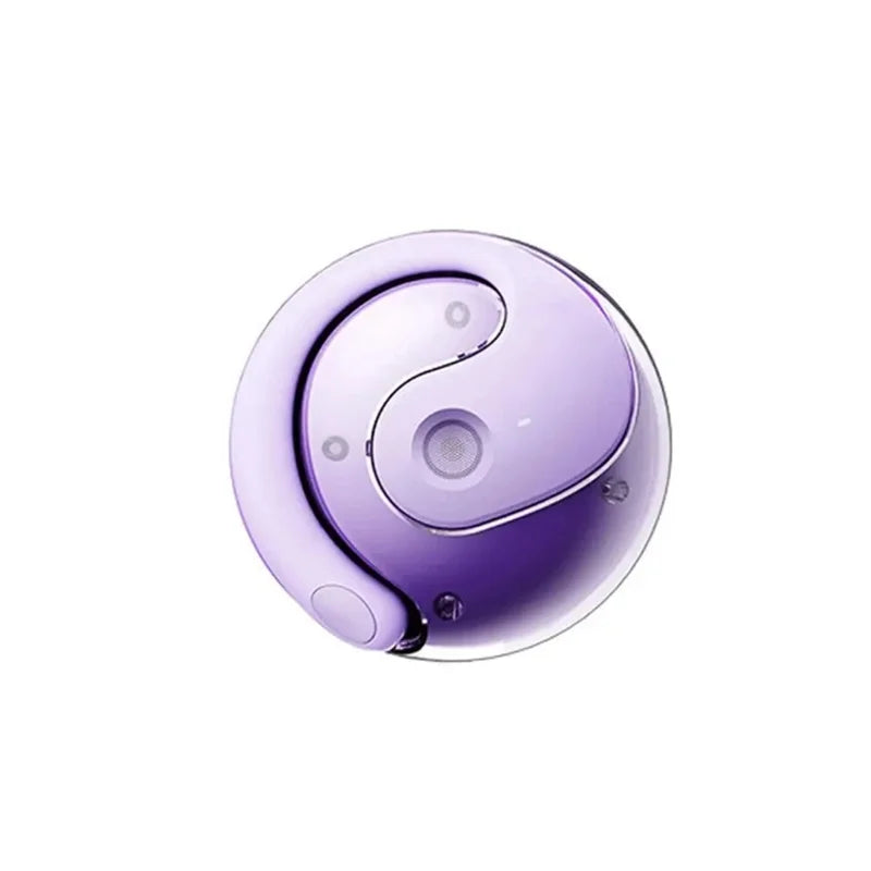 HOMEFISH New Open Ear Wireless Translation