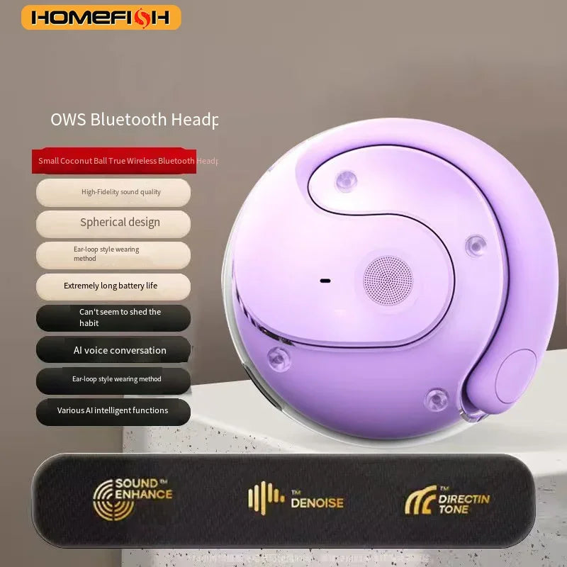 HOMEFISH New Open Ear Wireless Translation