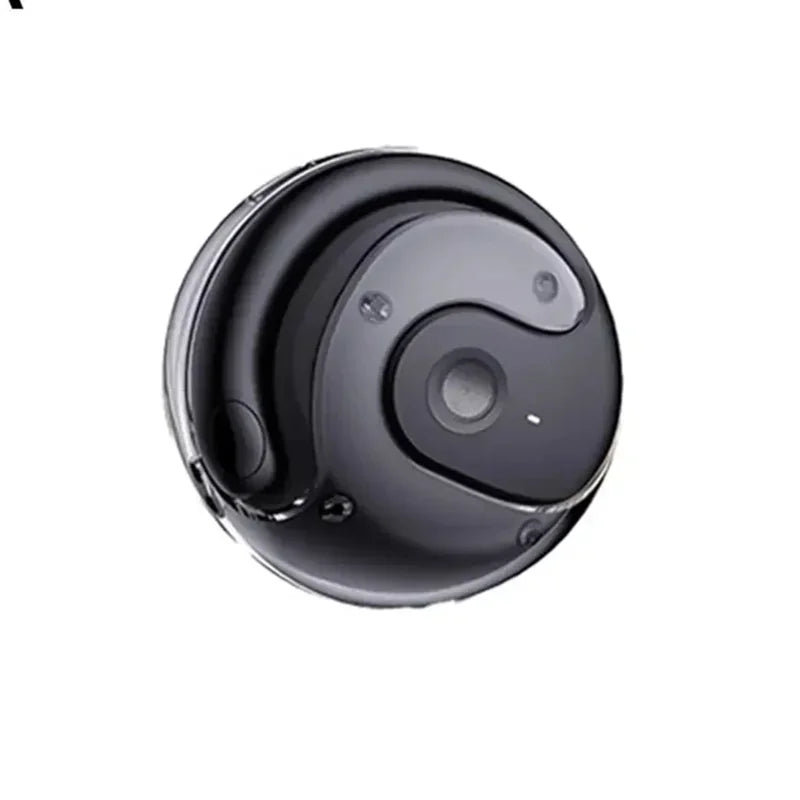 HOMEFISH New Open Ear Wireless Translation