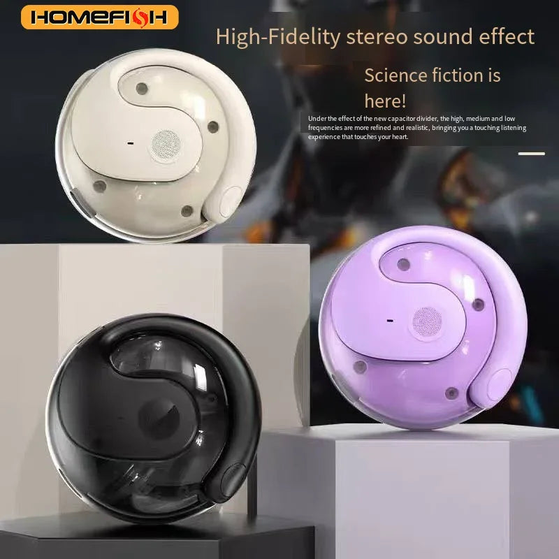 HOMEFISH New Open Ear Wireless Translation