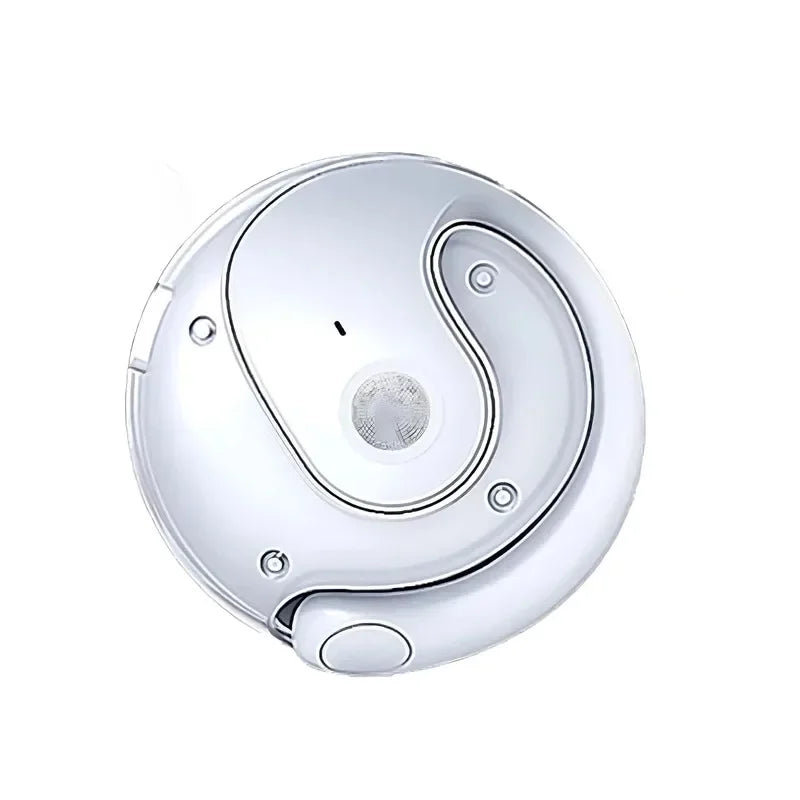 HOMEFISH New Open Ear Wireless Translation